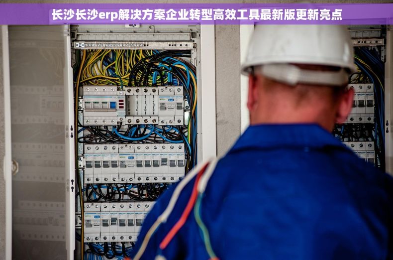 长沙长沙erp解决方案企业转型高效工具最新版更新亮点