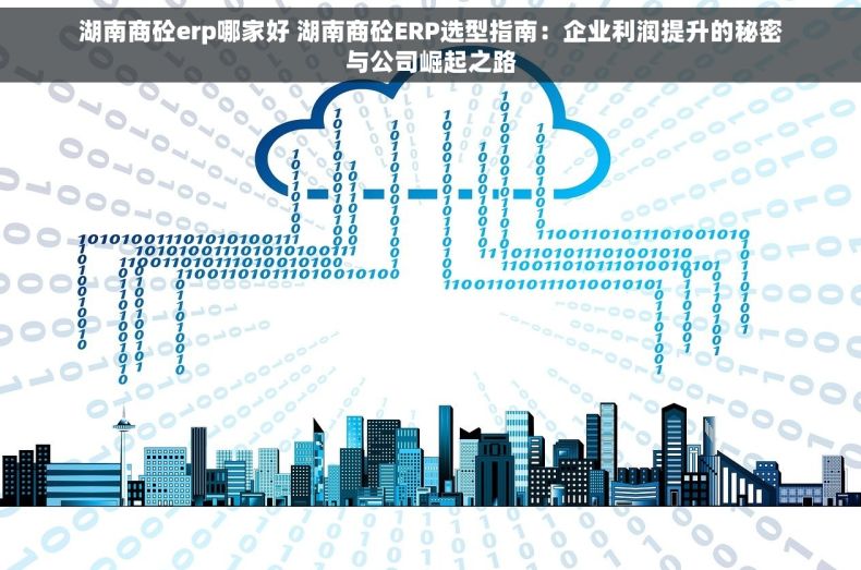湖南商砼erp哪家好 湖南商砼ERP选型指南：企业利润提升的秘密与公司崛起之路