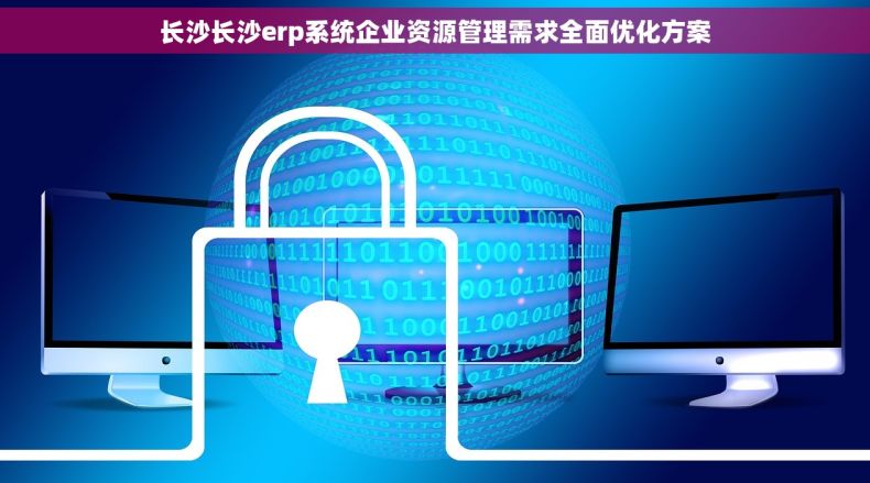 长沙长沙erp系统企业资源管理需求全面优化方案