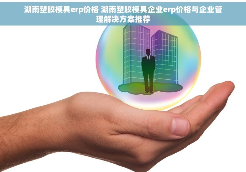 湖南塑胶模具erp价格 湖南塑胶模具企业erp价格与企业管理解决方案推荐