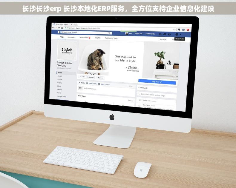 长沙长沙erp 长沙本地化ERP服务，全方位支持企业信息化建设