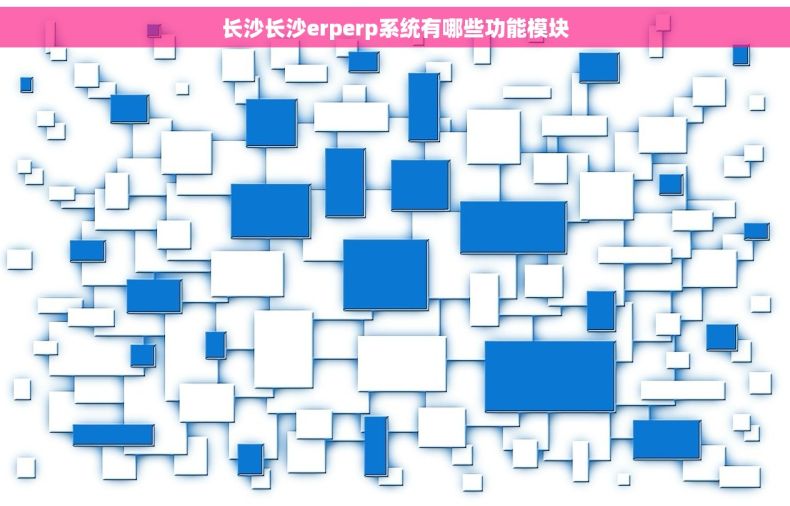 长沙长沙erperp系统有哪些功能模块