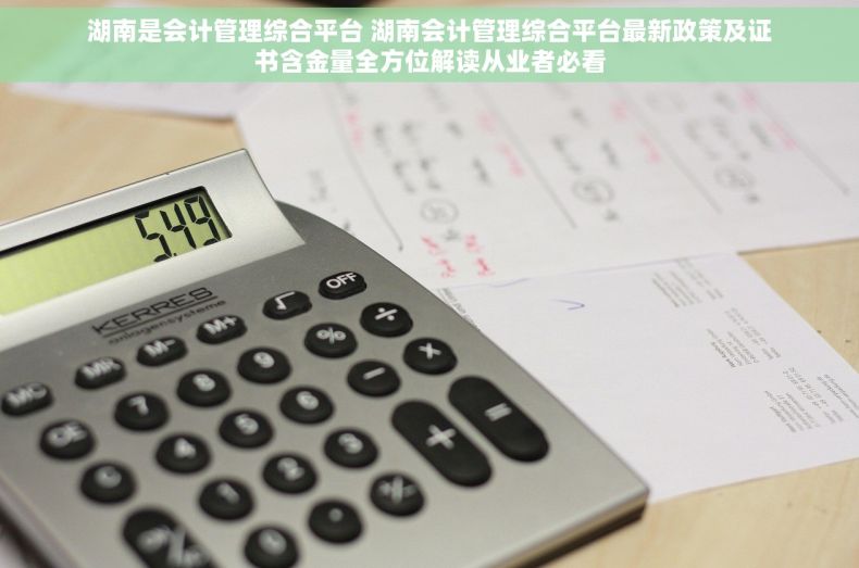 湖南是会计管理综合平台 湖南会计管理综合平台最新政策及证书含金量全方位解读从业者必看