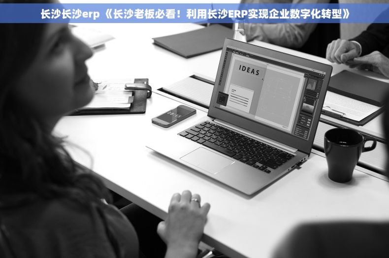长沙长沙erp 《长沙老板必看！利用长沙ERP实现企业数字化转型》