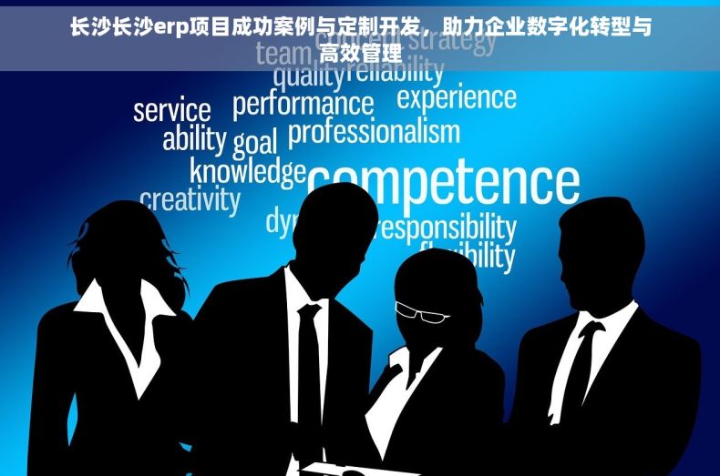 长沙长沙erp项目成功案例与定制开发，助力企业数字化转型与高效管理