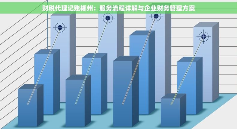 财税代理记账郴州：服务流程详解与企业财务管理方案