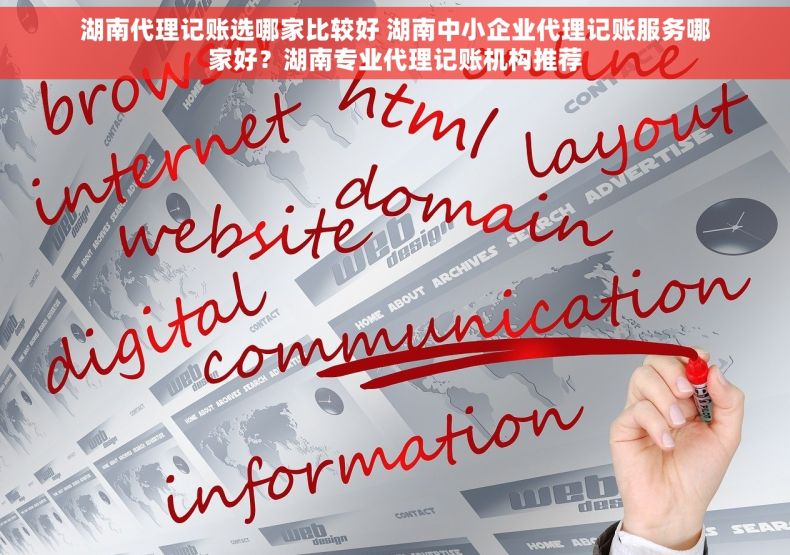 湖南代理记账选哪家比较好 湖南中小企业代理记账服务哪家好？湖南专业代理记账机构推荐