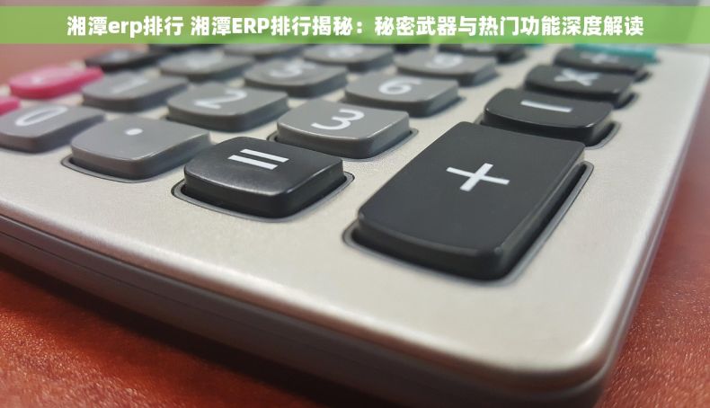 湘潭erp排行 湘潭ERP排行揭秘：秘密武器与热门功能深度解读