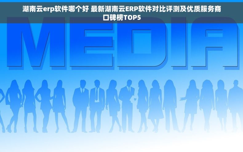 湖南云erp软件哪个好 最新湖南云ERP软件对比评测及优质服务商口碑榜TOP5
