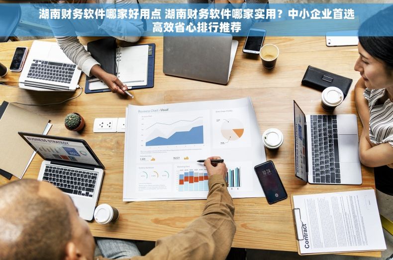 湖南财务软件哪家好用点 湖南财务软件哪家实用？中小企业首选高效省心排行推荐