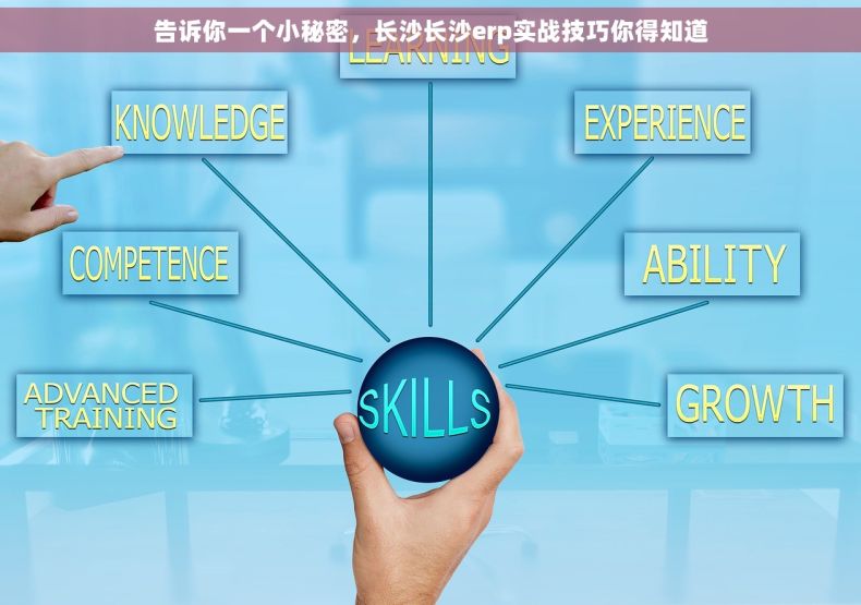 告诉你一个小秘密，长沙长沙erp实战技巧你得知道