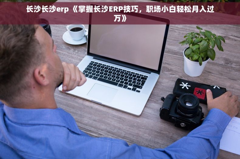 长沙长沙erp 《掌握长沙ERP技巧，职场小白轻松月入过万》