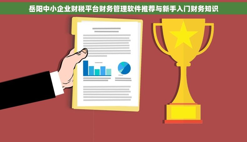 岳阳中小企业财税平台财务管理软件推荐与新手入门财务知识