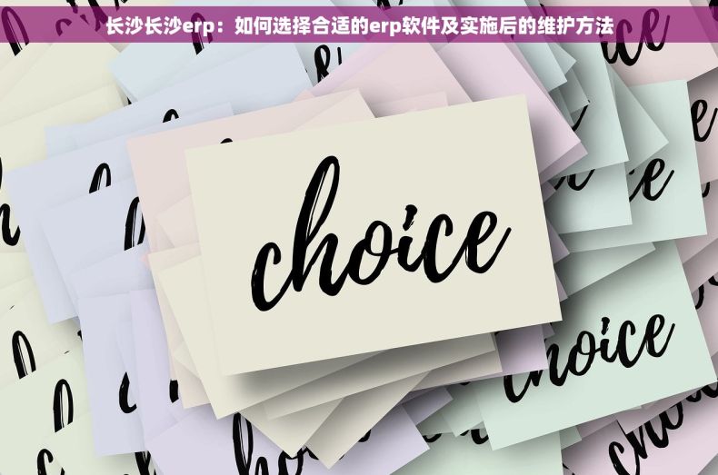 长沙长沙erp：如何选择合适的erp软件及实施后的维护方法