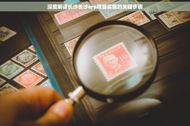 深度解读长沙长沙erp项目实施的关键步骤