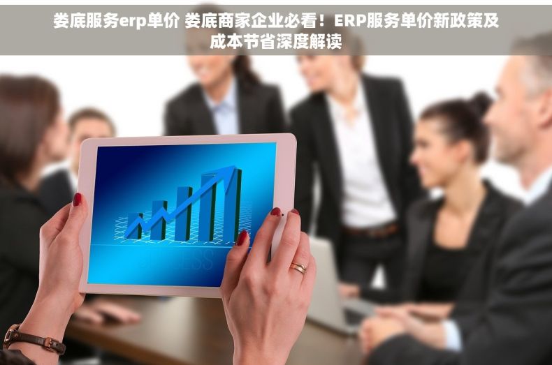 娄底服务erp单价 娄底商家企业必看！ERP服务单价新政策及成本节省深度解读