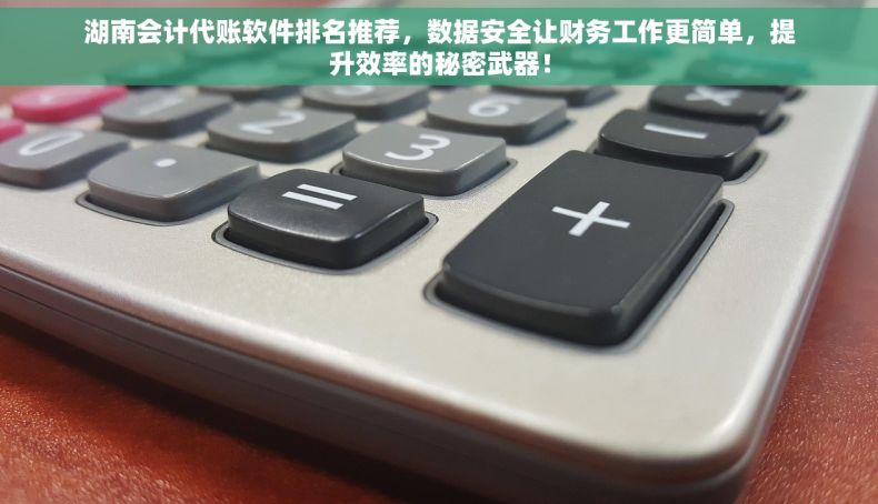 湖南会计代账软件排名推荐，数据安全让财务工作更简单，提升效率的秘密武器！