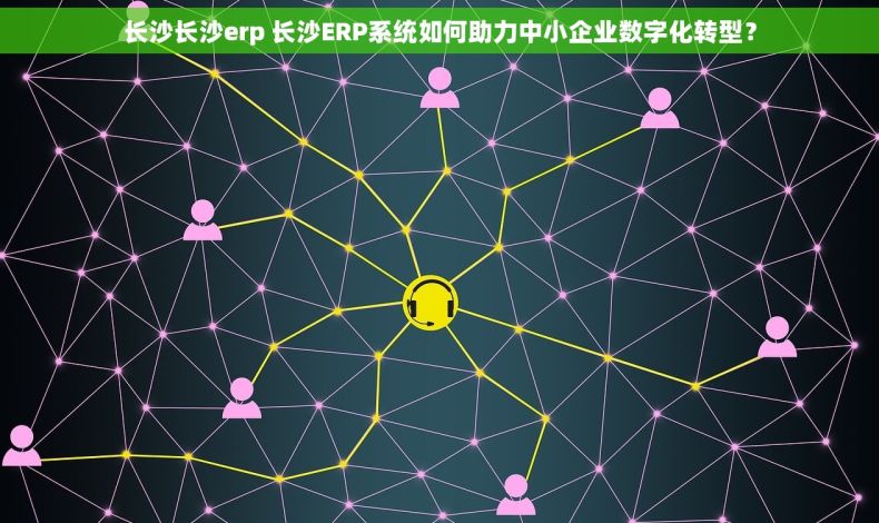 长沙长沙erp 长沙ERP系统如何助力中小企业数字化转型？