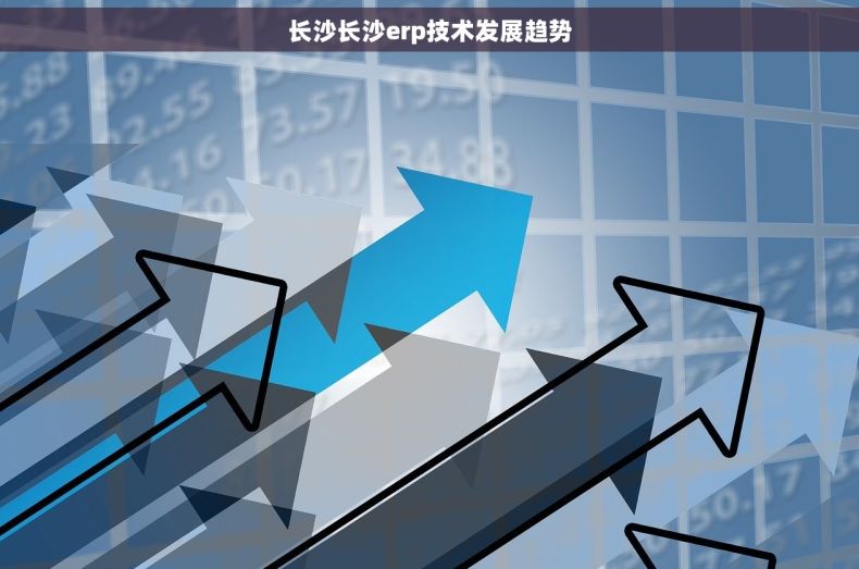 长沙长沙erp技术发展趋势