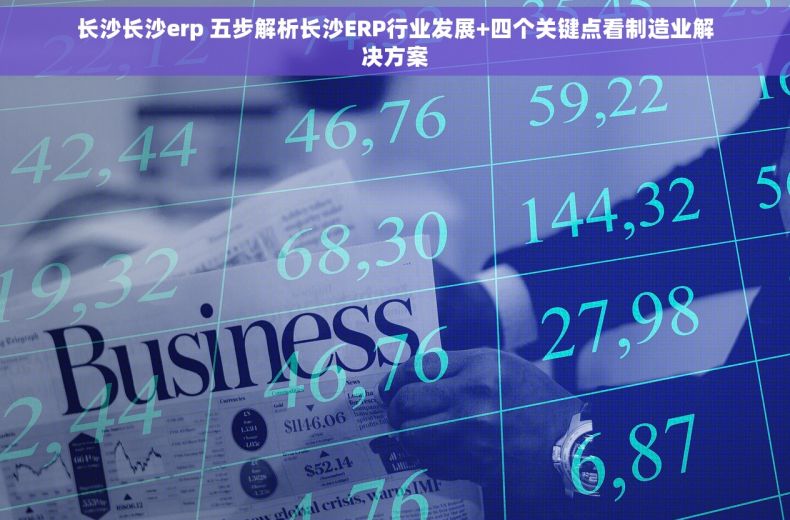 长沙长沙erp 五步解析长沙ERP行业发展+四个关键点看制造业解决方案