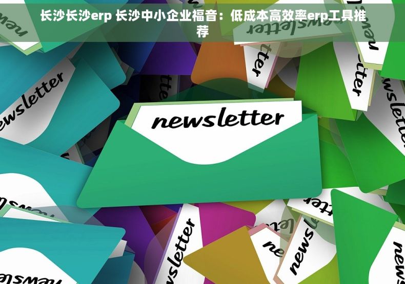 长沙长沙erp 长沙中小企业福音：低成本高效率erp工具推荐