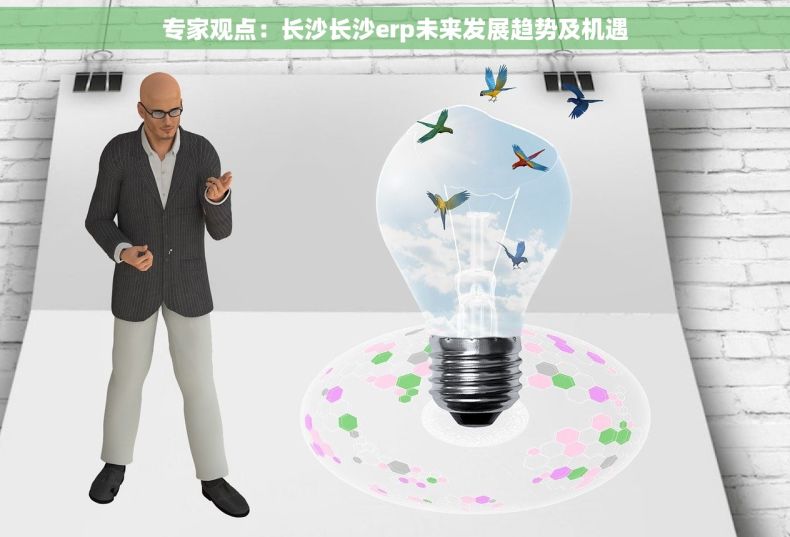 专家观点：长沙长沙erp未来发展趋势及机遇
