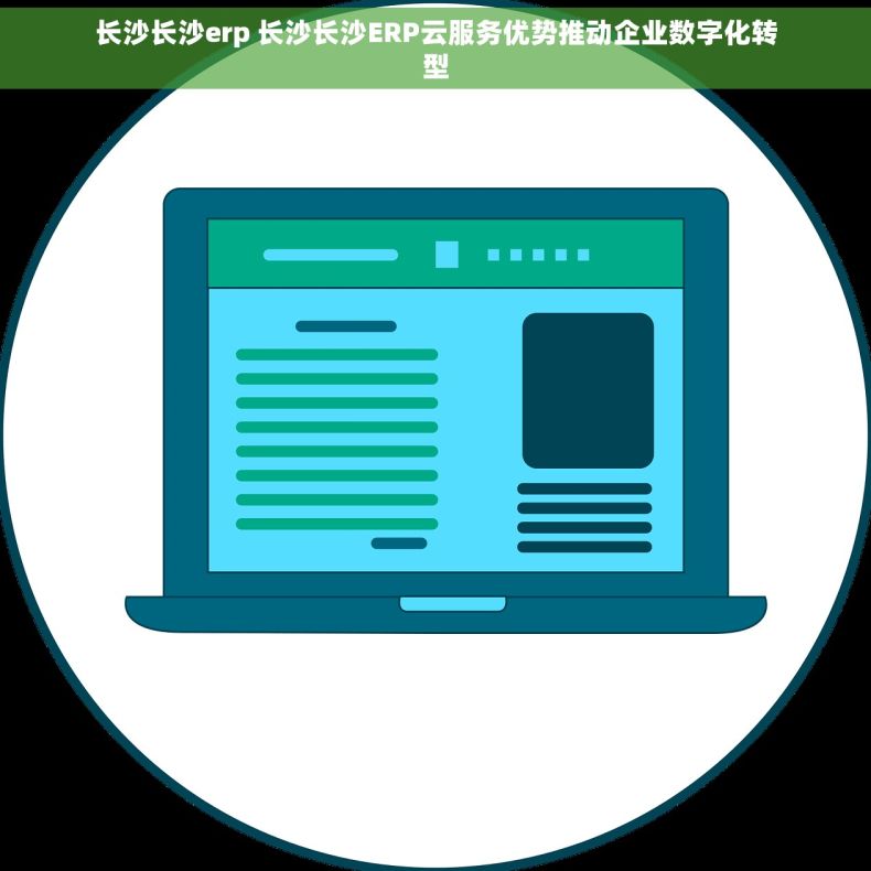 长沙长沙erp 长沙长沙ERP云服务优势推动企业数字化转型