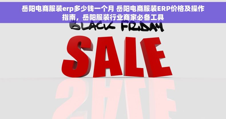 岳阳电商服装erp多少钱一个月 岳阳电商服装ERP价格及操作指南，岳阳服装行业商家必备工具
