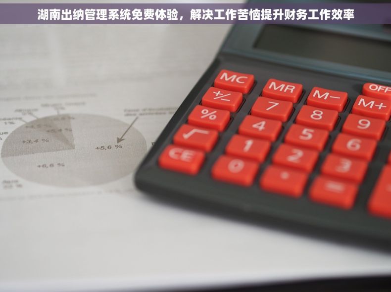 湖南出纳管理系统免费体验，解决工作苦恼提升财务工作效率