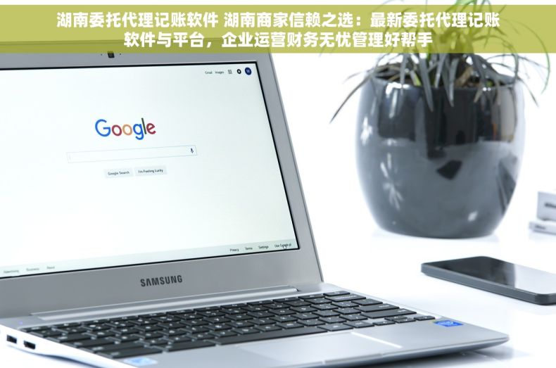 湖南委托代理记账软件 湖南商家信赖之选：最新委托代理记账软件与平台，企业运营财务无忧管理好帮手