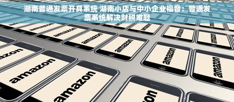 湖南普通发票开具系统 湖南小店与中小企业福音：普通发票系统解决财税难题