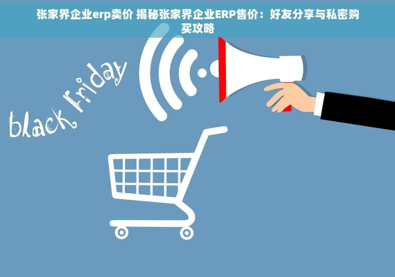 张家界企业erp卖价 揭秘张家界企业ERP售价：好友分享与私密购买攻略
