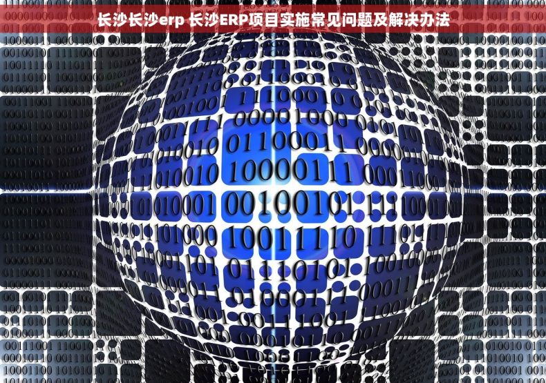 长沙长沙erp 长沙ERP项目实施常见问题及解决办法