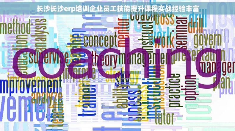 长沙长沙erp培训企业员工技能提升课程实战经验丰富