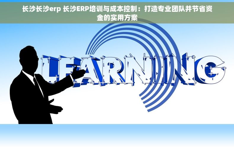 长沙长沙erp 长沙ERP培训与成本控制：打造专业团队并节省资金的实用方案