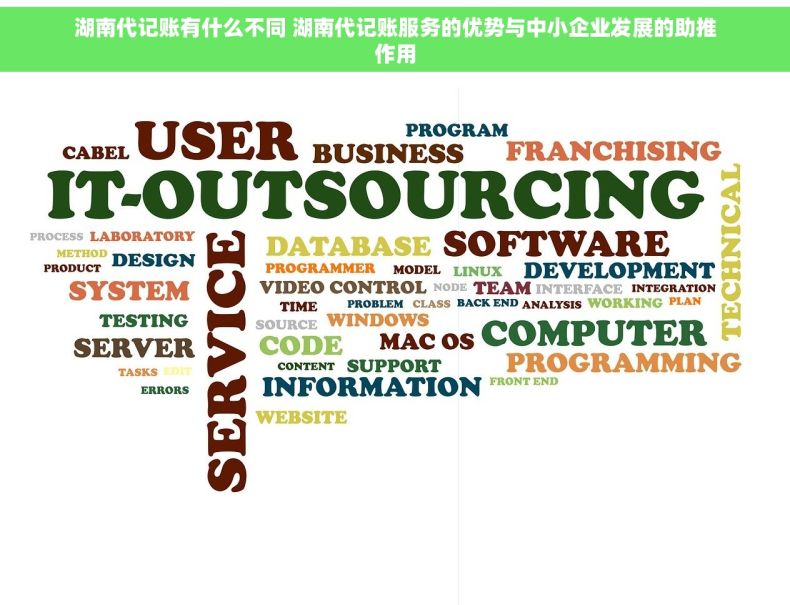 湖南代记账有什么不同 湖南代记账服务的优势与中小企业发展的助推作用