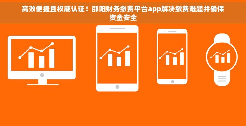 高效便捷且权威认证！邵阳财务缴费平台app解决缴费难题并确保资金安全