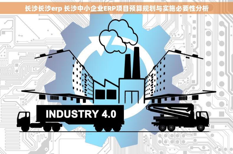 长沙长沙erp 长沙中小企业ERP项目预算规划与实施必要性分析