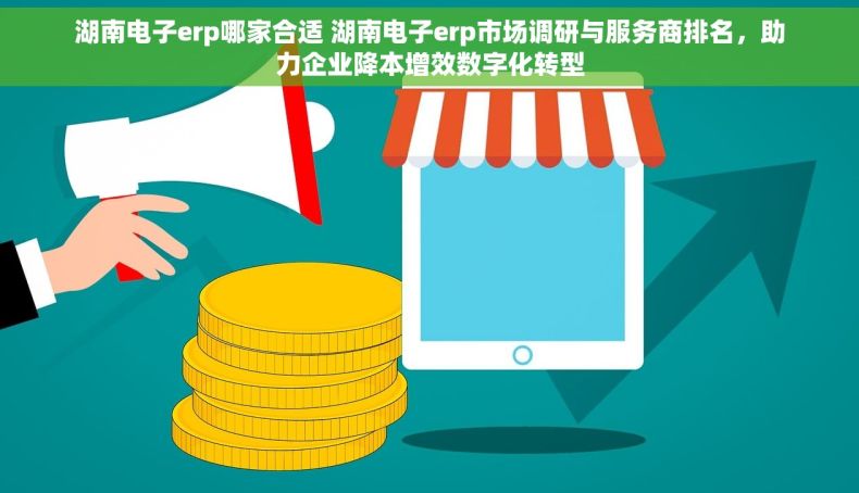 湖南电子erp哪家合适 湖南电子erp市场调研与服务商排名，助力企业降本增效数字化转型