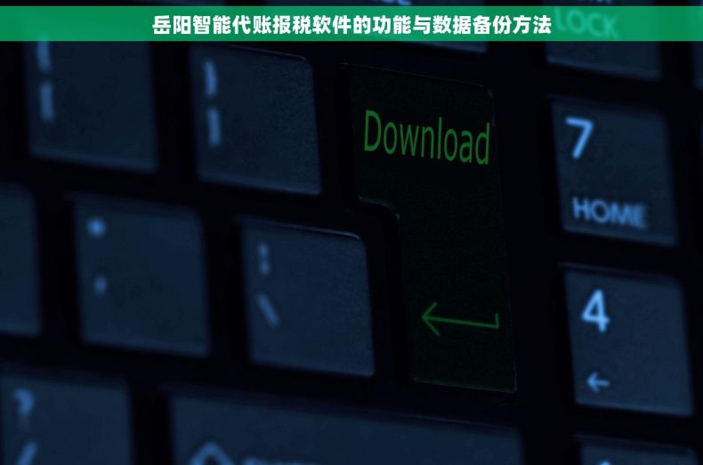 岳阳智能代账报税软件的功能与数据备份方法