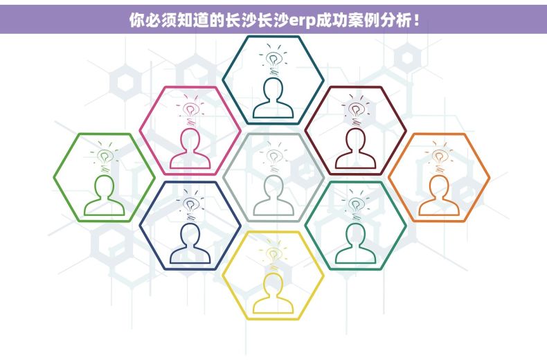 你必须知道的长沙长沙erp成功案例分析！