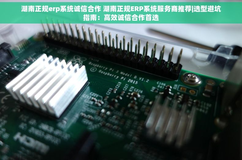 湖南正规erp系统诚信合作 湖南正规ERP系统服务商推荐|选型避坑指南：高效诚信合作首选