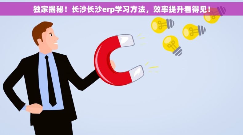 独家揭秘！长沙长沙erp学习方法，效率提升看得见！