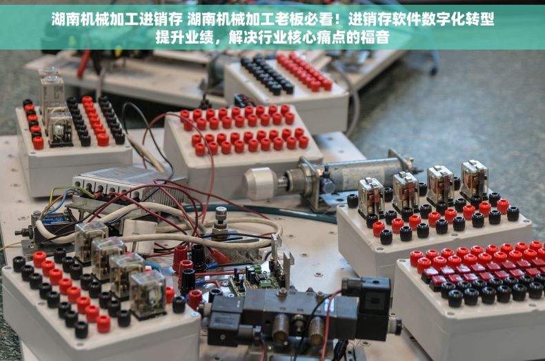湖南机械加工进销存 湖南机械加工老板必看！进销存软件数字化转型提升业绩，解决行业核心痛点的福音
