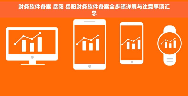 财务软件备案 岳阳 岳阳财务软件备案全步骤详解与注意事项汇总