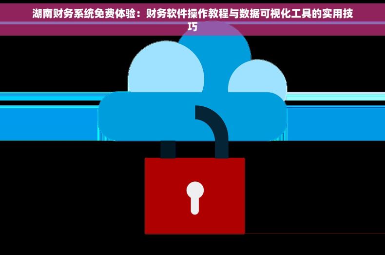 湖南财务系统免费体验：财务软件操作教程与数据可视化工具的实用技巧
