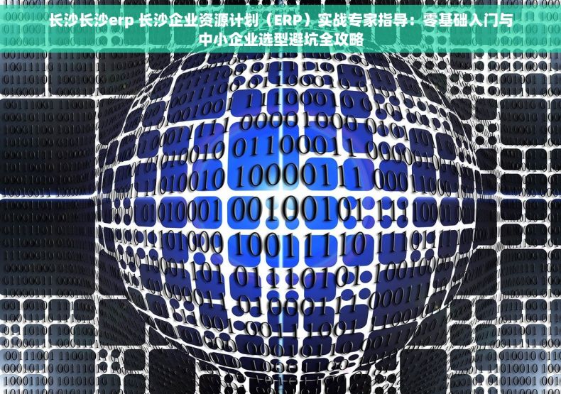 长沙长沙erp 长沙企业资源计划（ERP）实战专家指导：零基础入门与中小企业选型避坑全攻略