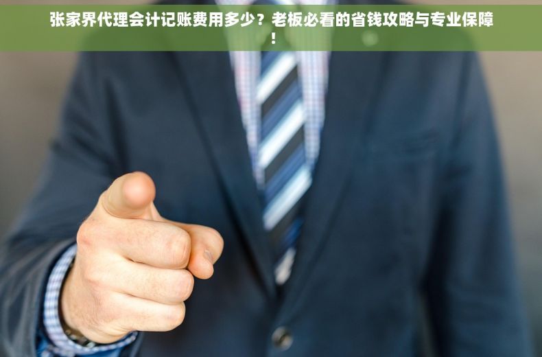 张家界代理会计记账费用多少？老板必看的省钱攻略与专业保障！