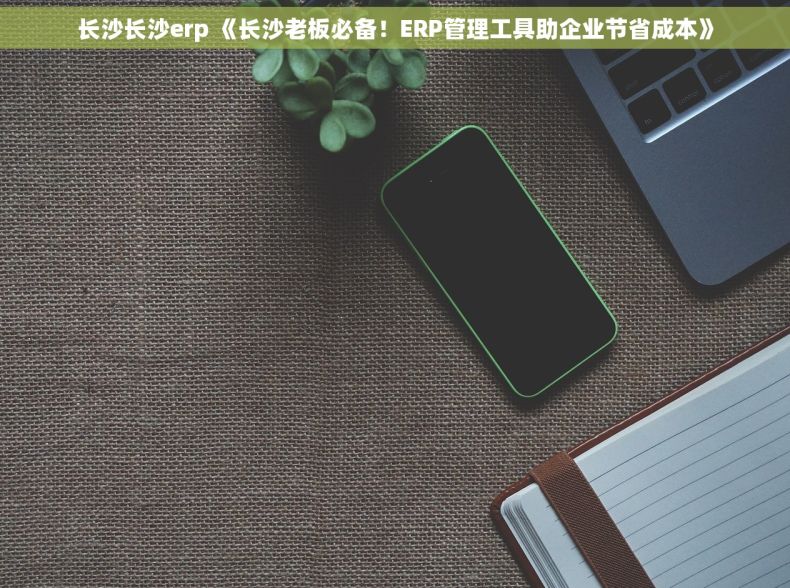 长沙长沙erp 《长沙老板必备！ERP管理工具助企业节省成本》