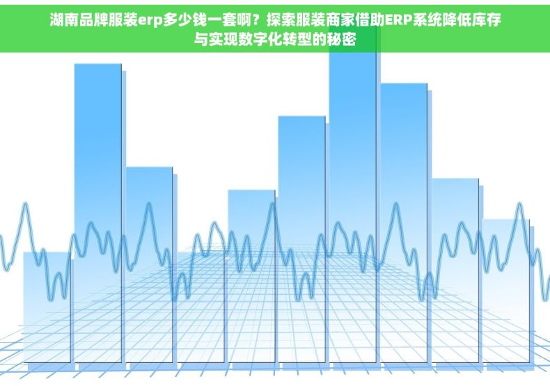 湖南品牌服装erp多少钱一套啊？探索服装商家借助ERP系统降低库存与实现数字化转型的秘密